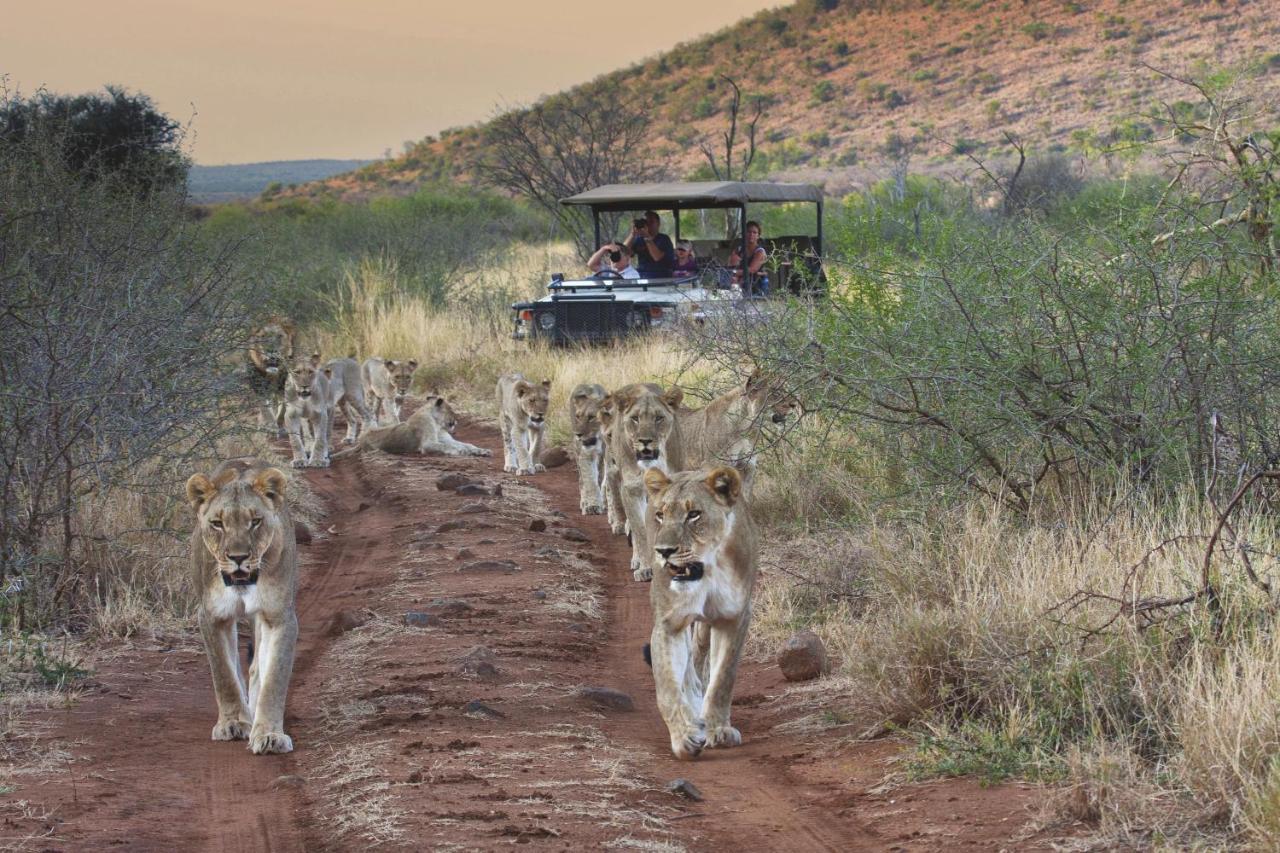 Tuningi Safari Lodge Madikwe Game Reserve Exterior photo